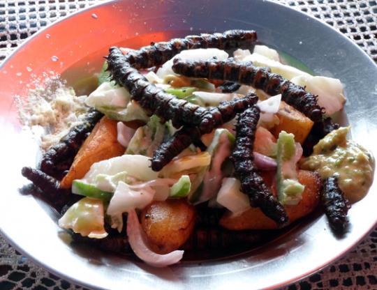 salade