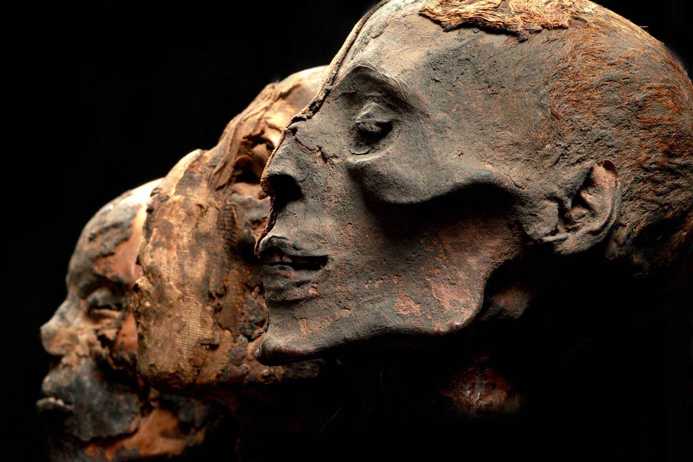 adn des Egyptiens anciens