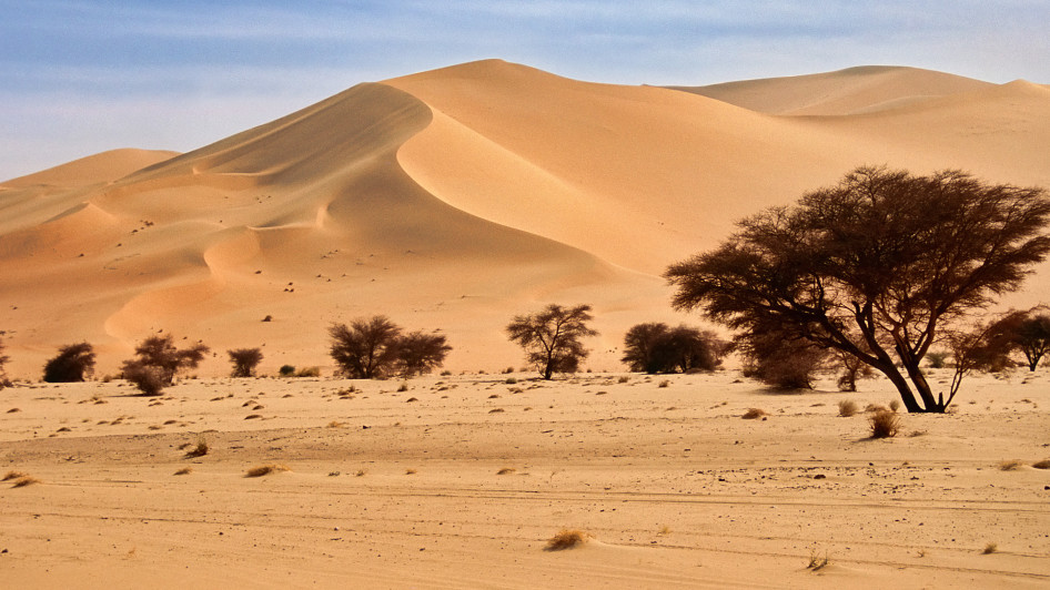 En moins d'un siècle, le désert du Sahara a progressé de 10%