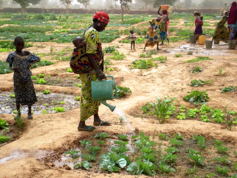En moins d'un siècle, le désert du Sahara a progressé de 10%