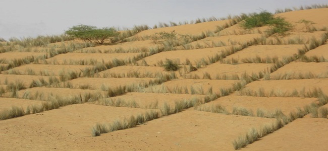 En moins d'un siècle, le désert du Sahara a progressé de 10%