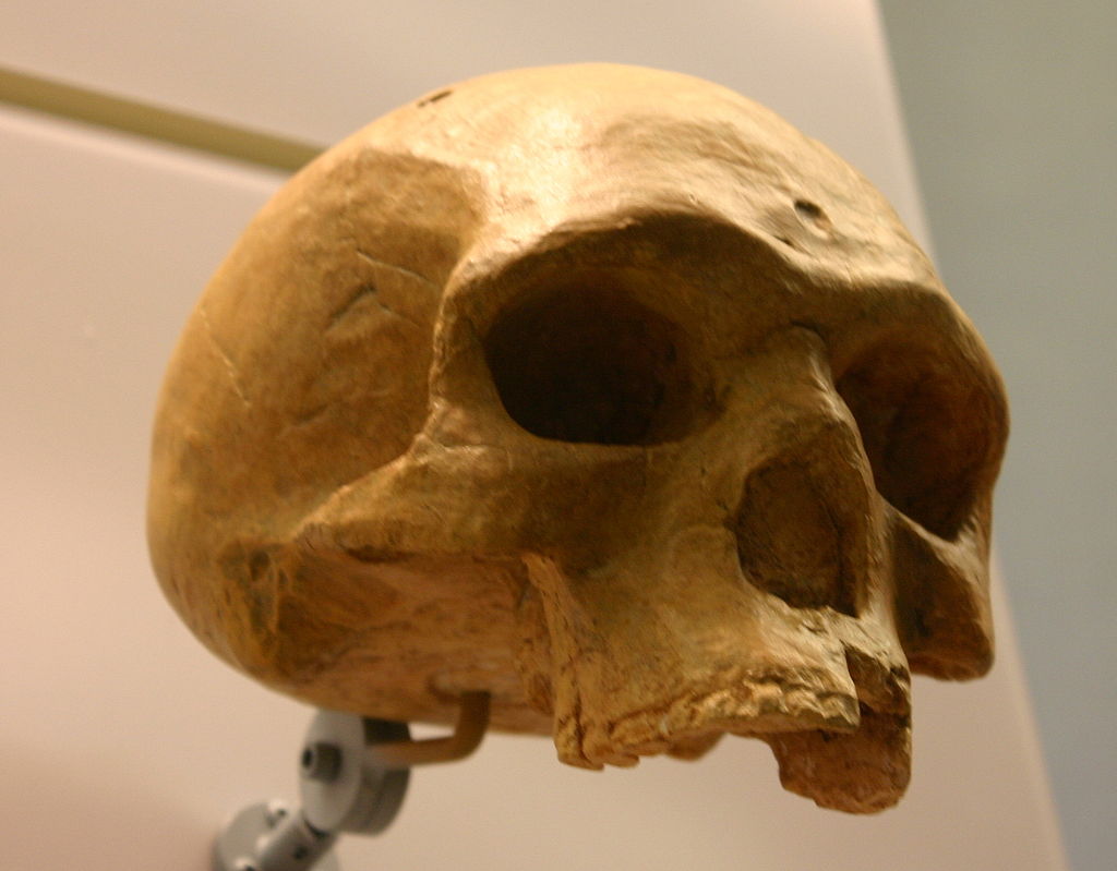 6 Arguments that prove the first human was of african origin