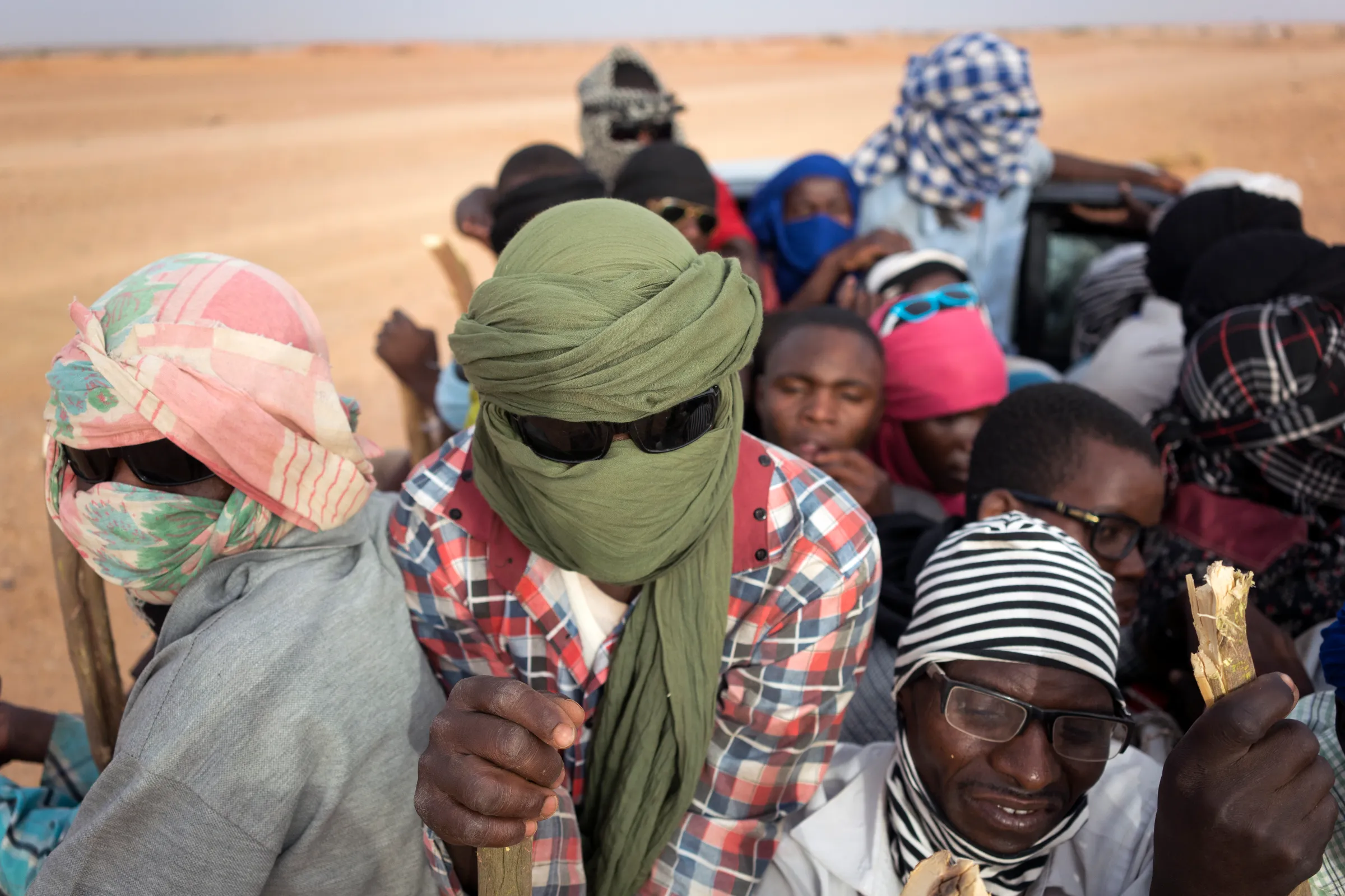 migrants 