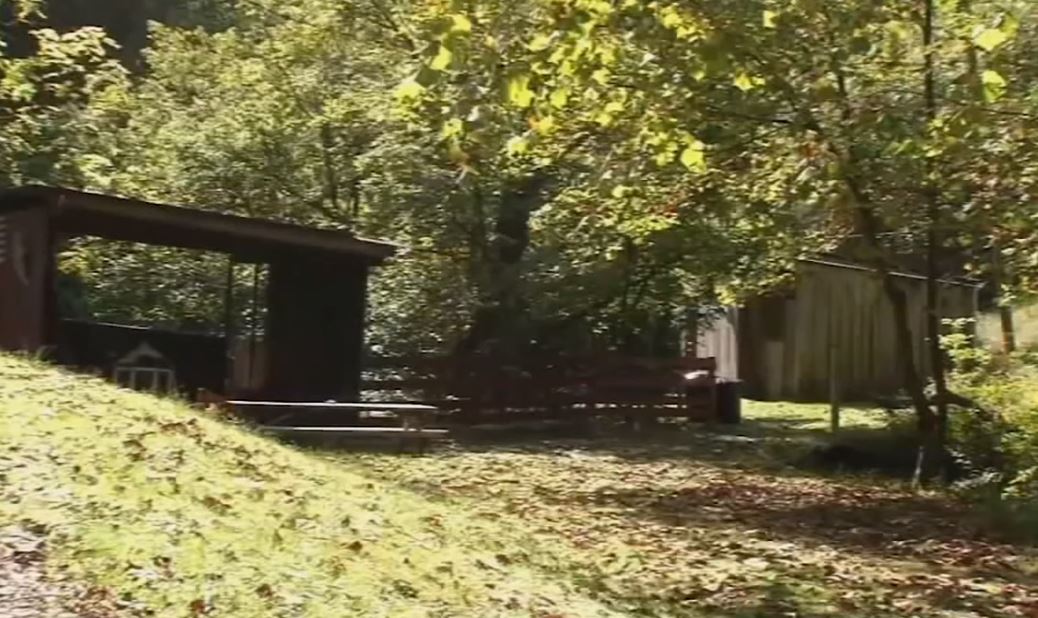 5 enfants noirs réduits en esclavage par un couple blanc