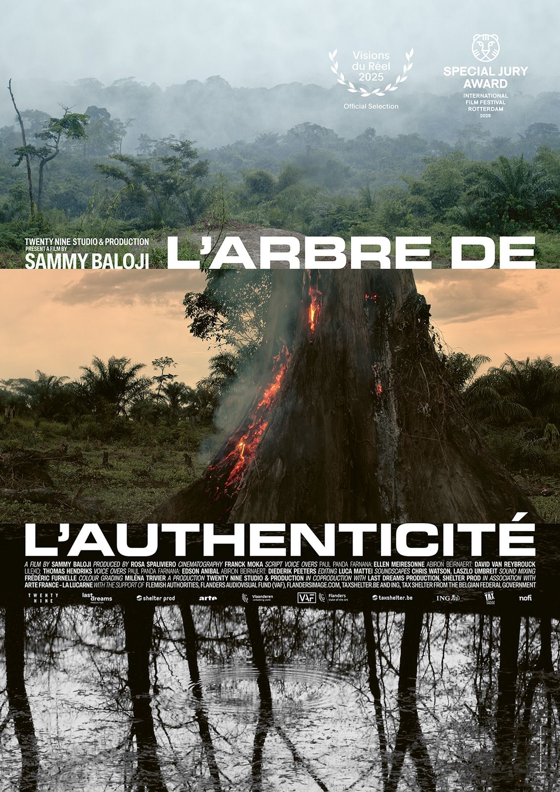 L’Arbre de l’Authenticité : la mémoire comme insurrection