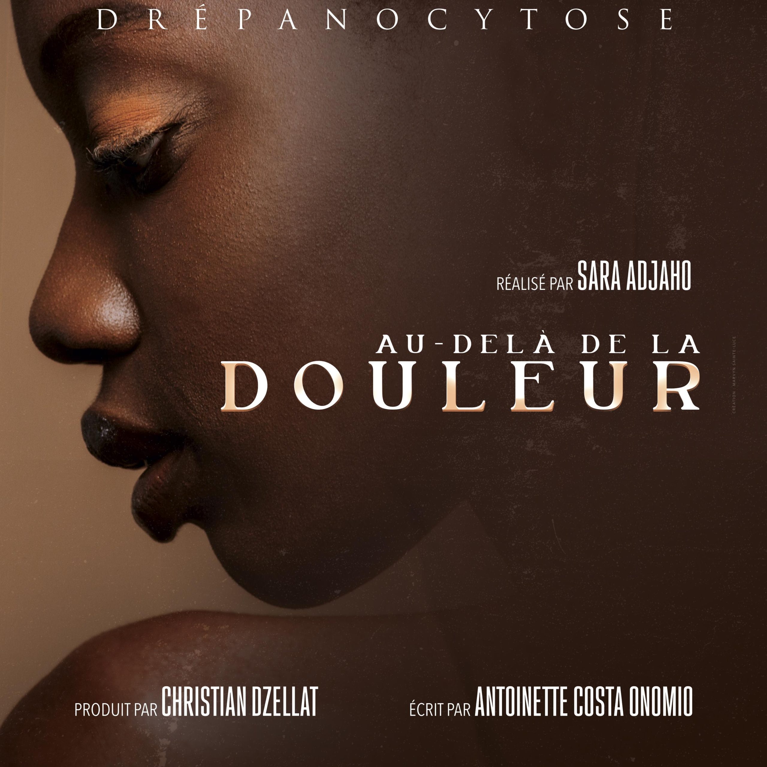 De l’ombre à la lumière : drépanocytose et conscience noire
