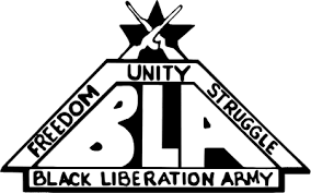 Assata Shakur : Mort d'une exilée, naissance d’un mythe ?