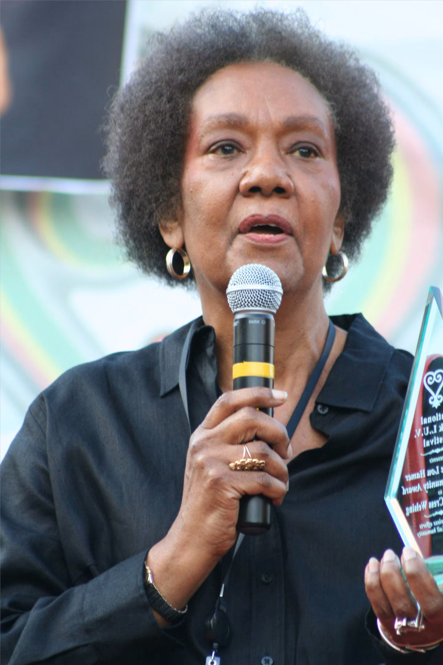 Frances Cress Welsing : expliquer le racisme comme système total
